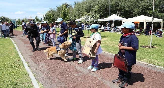 Niños participan en campamento organizado por Ayuntamiento de Puebla. Foto: Especial
