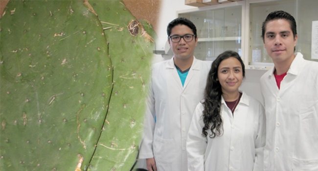 Estudiantes del IPN desarrollan biocombustible con nopal. Foto: Conacyt