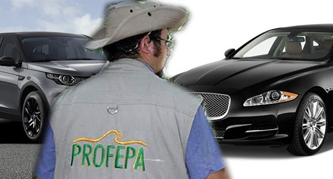 Profepa sanciona con 3 mdp a importadora de Jaguar y Land Rover. Foto: Especial