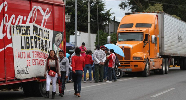 Foto: Animal Político