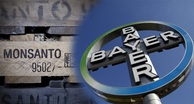 Bayer compra Monsanto por 66 mdd. Foto: Especial