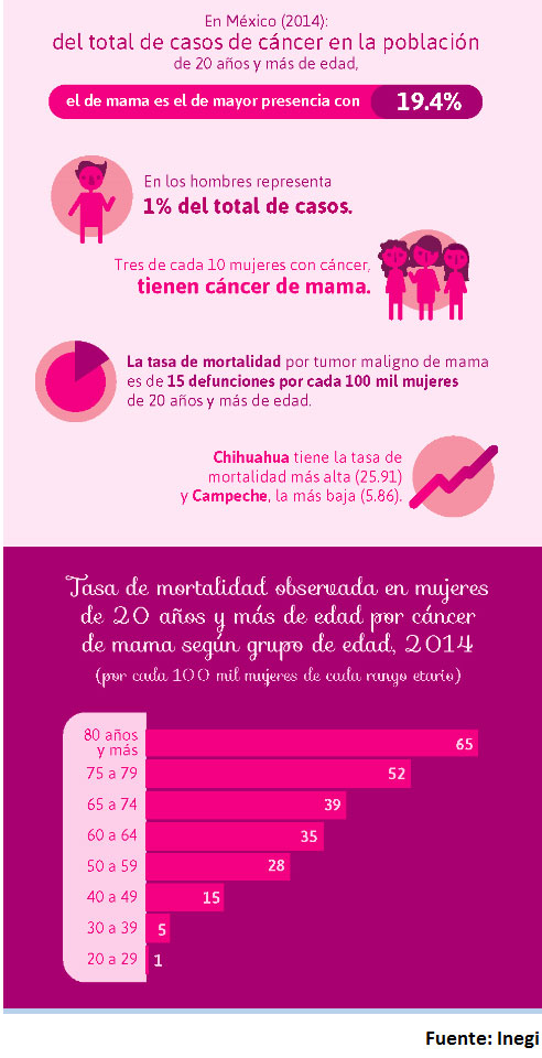 infografiamastografia