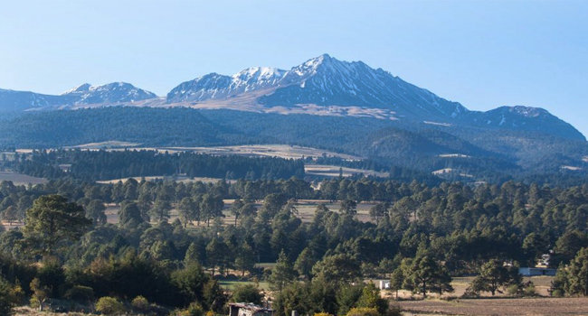 Semarnat autoriza tala de 33% del bosque Nevado de Toluca. Foto: Animal Político