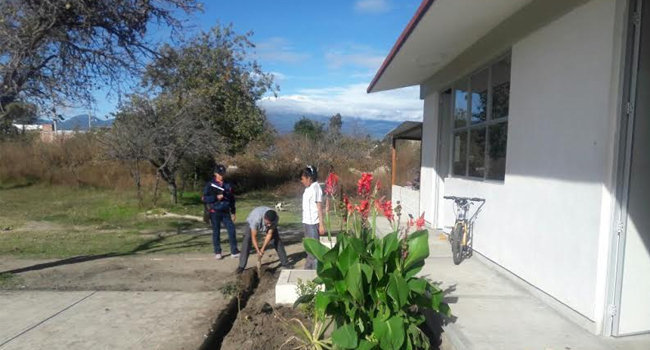 Plantan 350 árboles en bachillerato de Huejotzingo. Foto: Especial