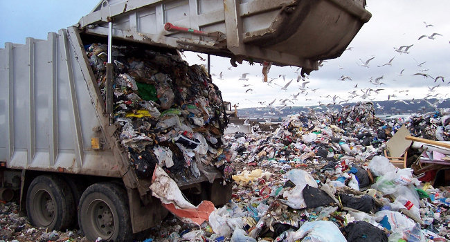 Empresas finlandesas quieren en generar luz con basura en México. Foto: Ecología Verde