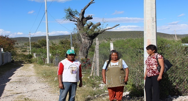 antorcha-boletin