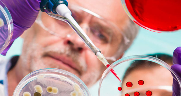 Uaaan estudia bacterias para el crecimiento sustentable de plantas