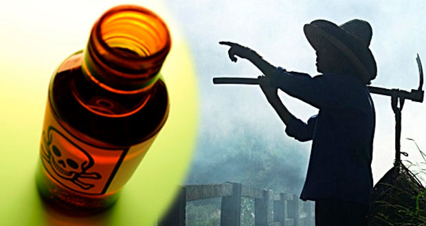 Denuncian muerte de campesino en Hidalgo por tóxicos de empresa