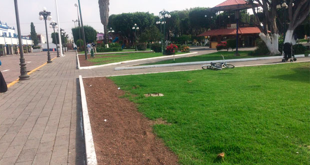 Los vecinos consideraron la tala como un “ecocidio” 