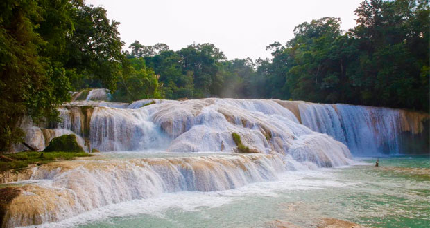 Cascadas de Agua Azul en Chiapas, recuperadas al 100%: Semarnat