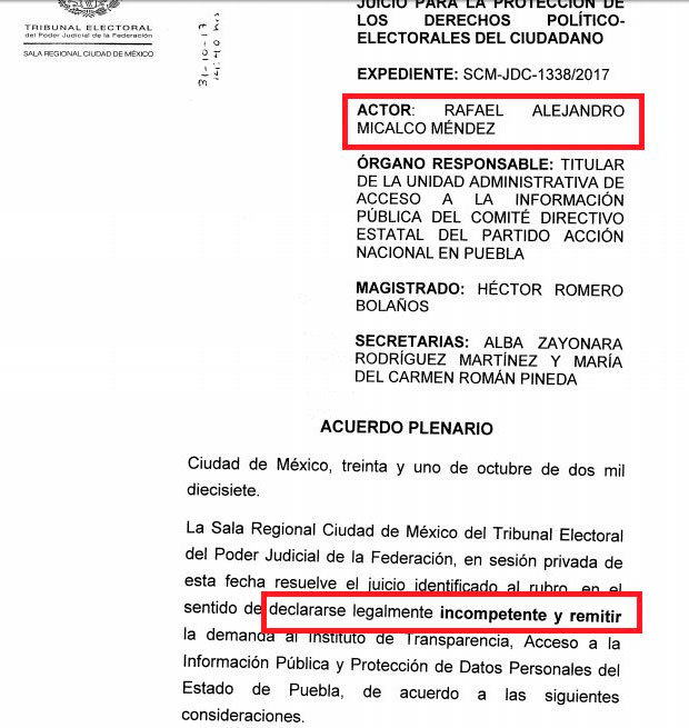 documento-Tepjf-Micalco