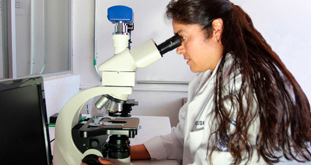 Estrés y dexametasona afectan memoria y aprendizaje: biólogos de la BUAP