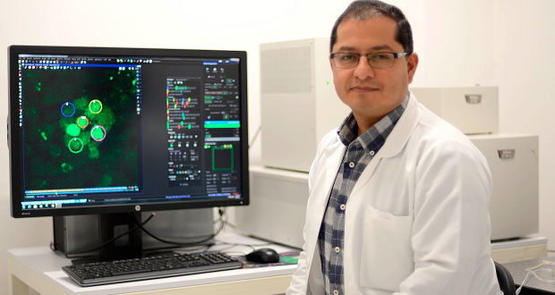 En la BUAP, investigan terapia fotodinámica para tratar cáncer