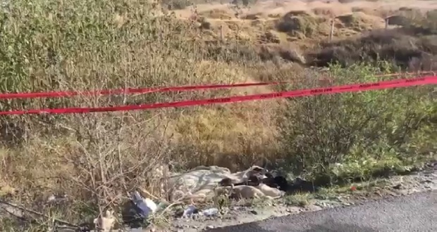 Encuentran dos cadáveres cerca del periférico Ecológico, a la altura de Coronango