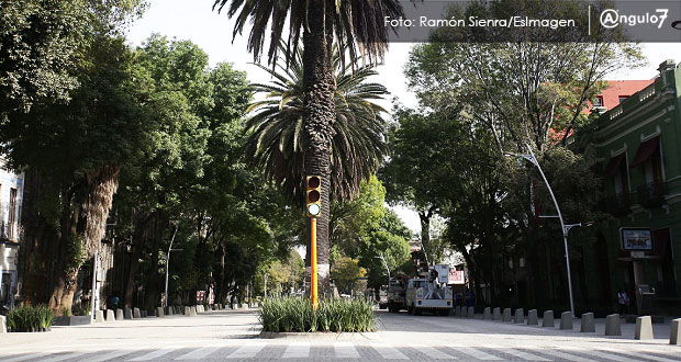 Esperan normalizar ventas tras apertura de la Juárez; continúan trabajos