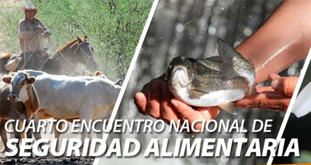 Del 26 a 28 de enero, encuentro de seguridad alimentaria en Puebla