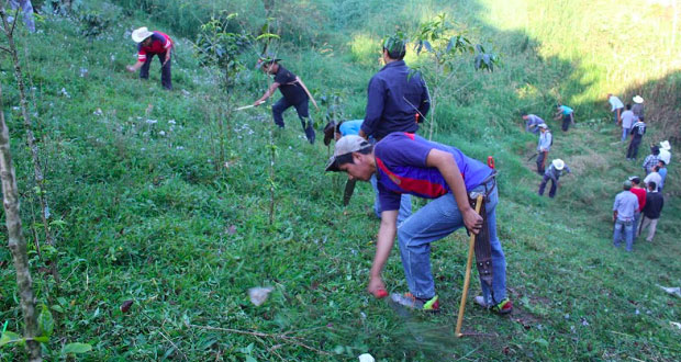 Bachillerato de Huitzilan de Serdán impulsa estudios agrícolas