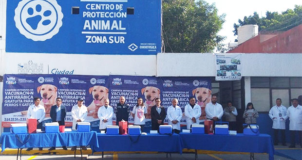 Aplicarán 74 mil vacunas antirrábicas del 11 al 17 de marzo