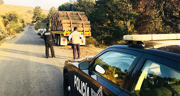 El vehículo transportaba 76 piezas de troncos, que serían de pinos ubicados en la zona.