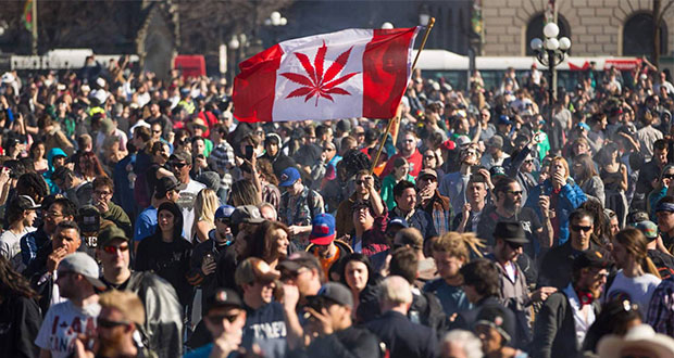 Legalizan producción y consumo recreativo de mariguana en Canadá
