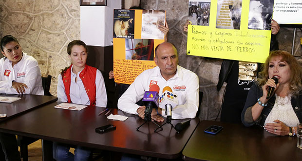 Víctor Gabriel propone censar mascotas y crear Centros de Adopción