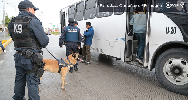 Últimos asaltos a transporte serían cometidos por centroamericanos: Ssptm