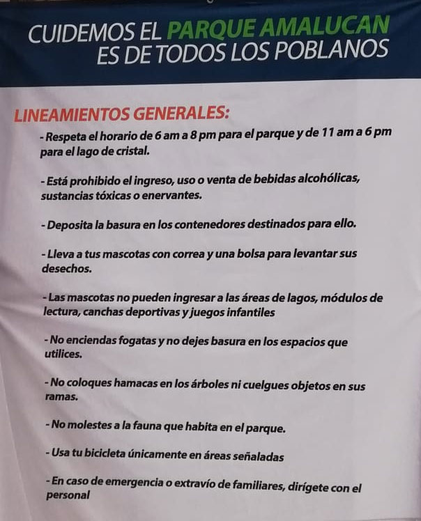 playa-amalucan-lineamientos