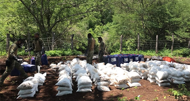 Aseguran 10 toneladas de cocaína y 1,200 litros de cristal en Sinaloa