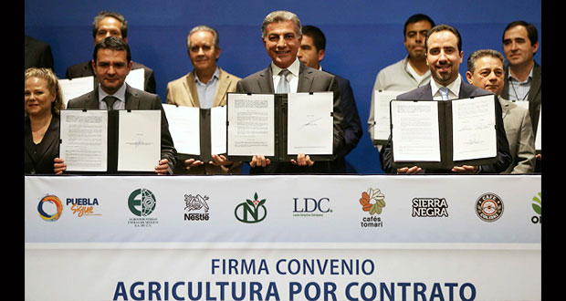 Convenio con empresas de Anicafé beneficiará a 13,678 agricultores
