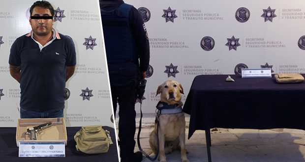 Detienen a 1 por portar arma de fuego y aseguran marihuana en CAPU