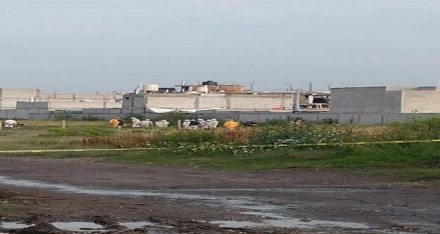 Vecinos de colonias afectadas por fuga de gas ya pueden regresar