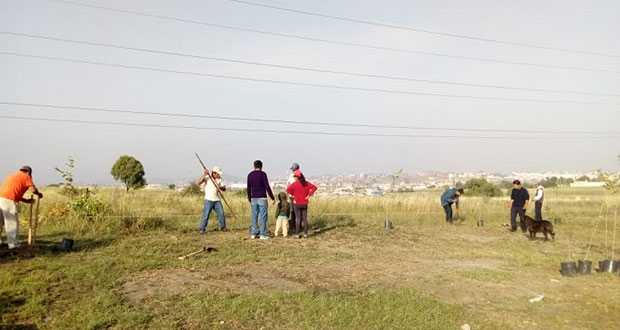 Antorcha reforesta colonia Lomas de Catarina con más de 50 plantas