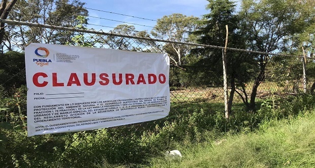 Por talar árboles sin permiso, gobierno estatal clausura vivero Santa Cruz