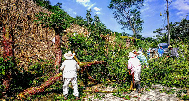 En Olintla, vecinos limpian accesos y mantienen a colonia “Libertad”