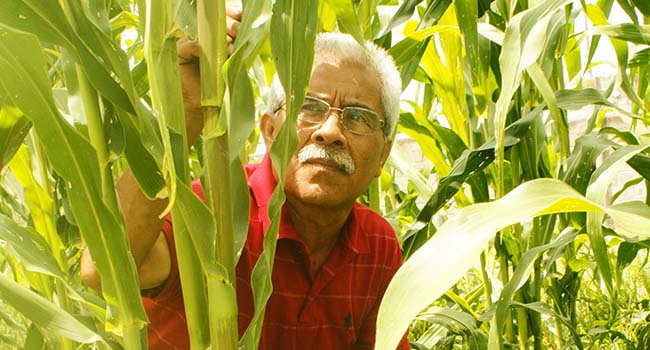 El investigador de la BUAP, Miguel Ángel Damián Huato, señaló que debe impulsarse la agroecología como una forma alternativa en el manejo de los cultivos.