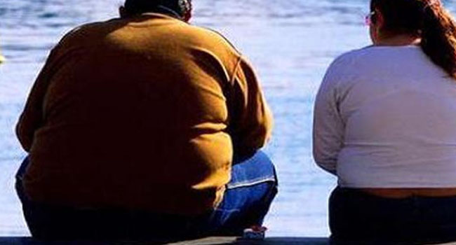 Actuación tardía de gobierno mexicano ante epidemia de obesidad