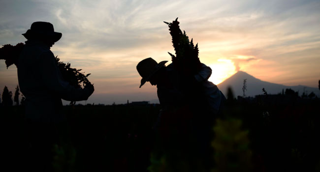 La declaración sobre los derechos de campesinos y su importancia