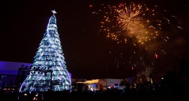 ¿Por qué ponemos el árbol de Navidad? Te contamos