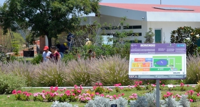 Jardin Botanico De La Buap Dara Taller Sobre Plantas Medicinales