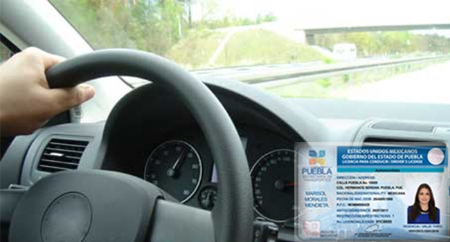 Lanzan licitación para asegurar a conductores que tramiten licencia en 2018