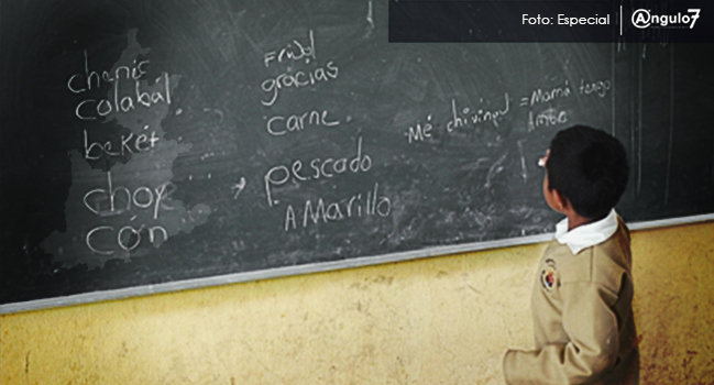 Inscríbete al programa “Líder para la Educación Comunitaria”