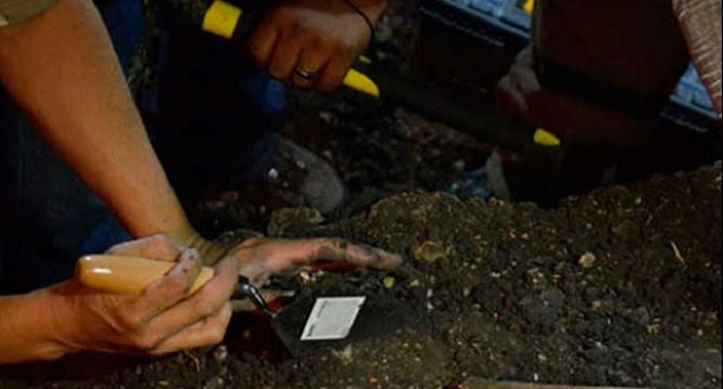 Cadáver de fosa clandestina en colonia Del Valle sería víctima de secuestro