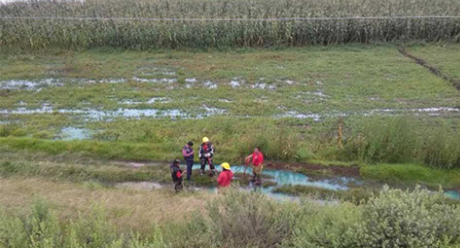 Huachicol afectó 200 hectáreas y 5 pozos en 2017: Sagarpa