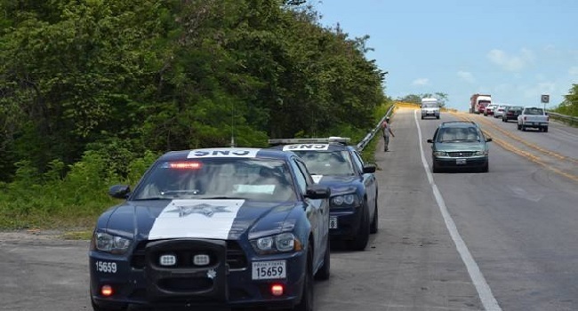 PF detiene a sujeto con pistola y droga en la Puebla-Tehuacán