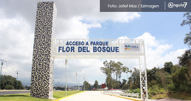 En San Lázaro, Morena exige a Gali frenar enajenación de patrimonio