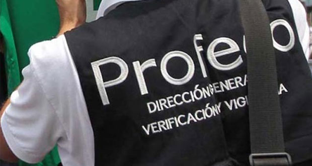 Profeco alerta sobre personas que se hacen pasar como verificadores