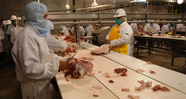 Clausuran 4 negocios de carne por descargas ilegales en Puebla capital