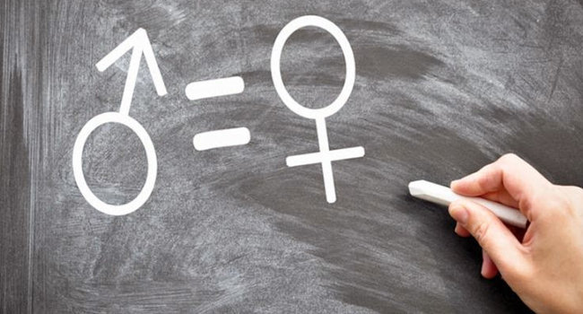 Observatorio vigilará elecciones para garantizar derechos de mujeres. Foto: SEG