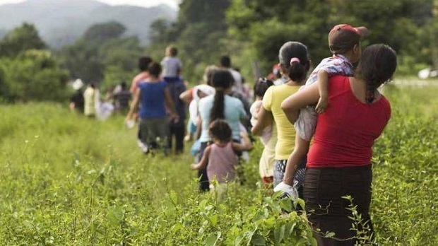 Instan a Federación y Guerrero atender a 300 desplazados