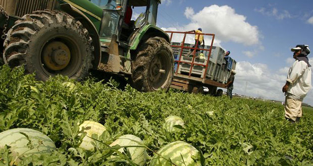 México y Chile revisan protocolos para aumentar comercio agrícola